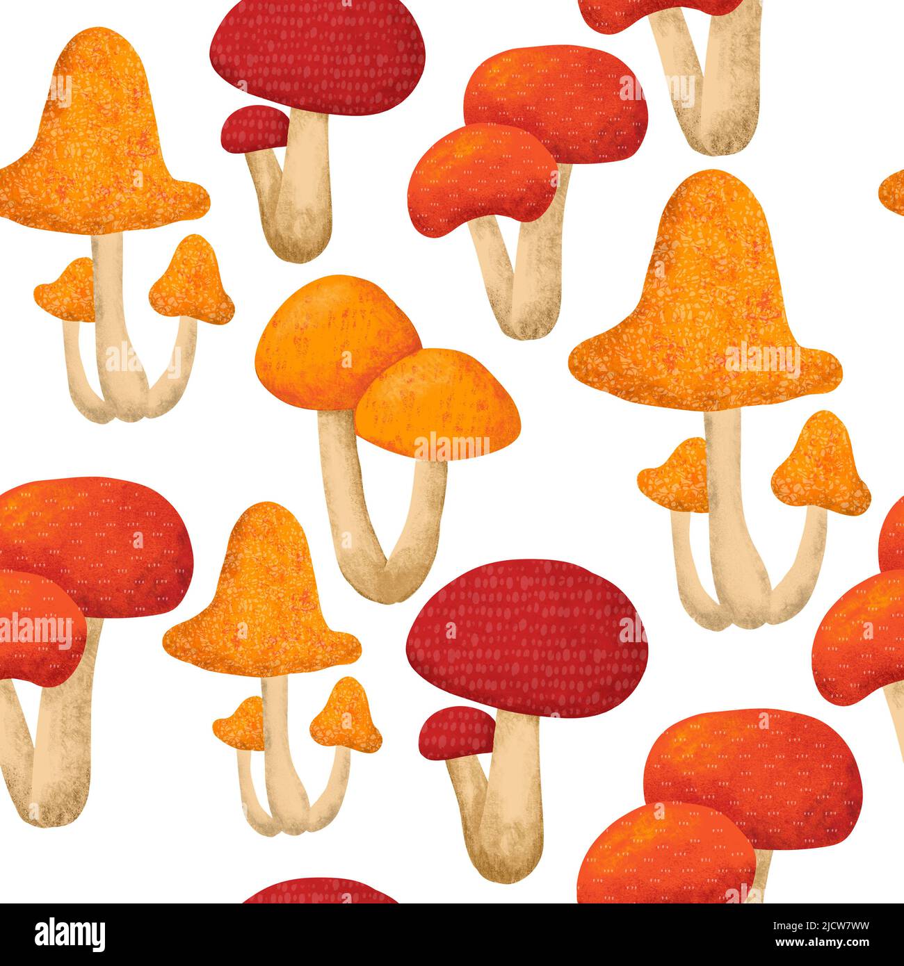 Drawing Kind Mushrooms Wallpaper Background Best Stock Photos  TOPpng