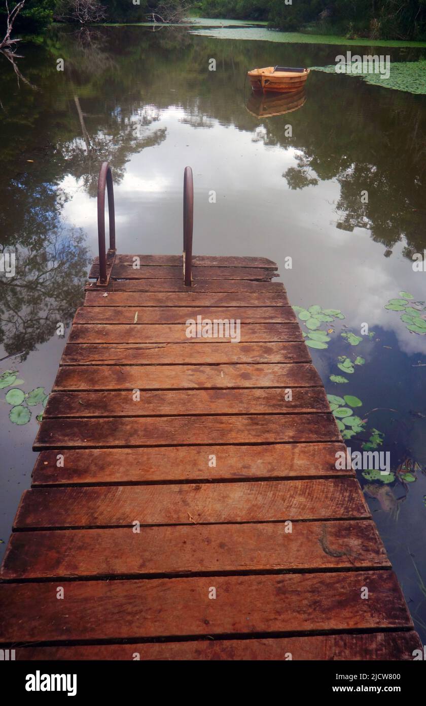 Wooden jetty and pond with dinghy amongst rainforest, Possum Valley, near Ravenshoe, Queensland, Australia Stock Photo