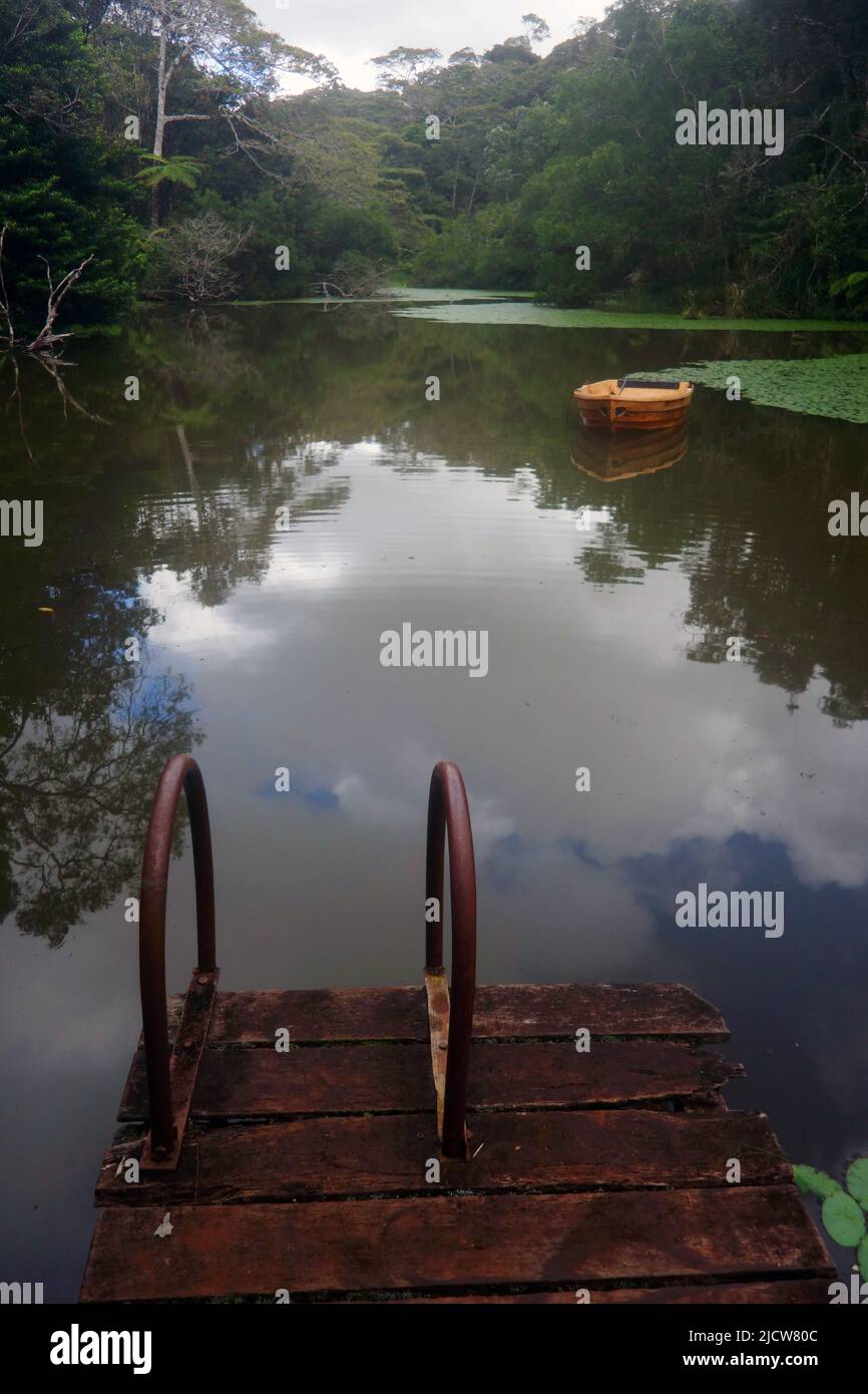 Wooden jetty and pond with dinghy amongst rainforest, Possum Valley, near Ravenshoe, Queensland, Australia Stock Photo