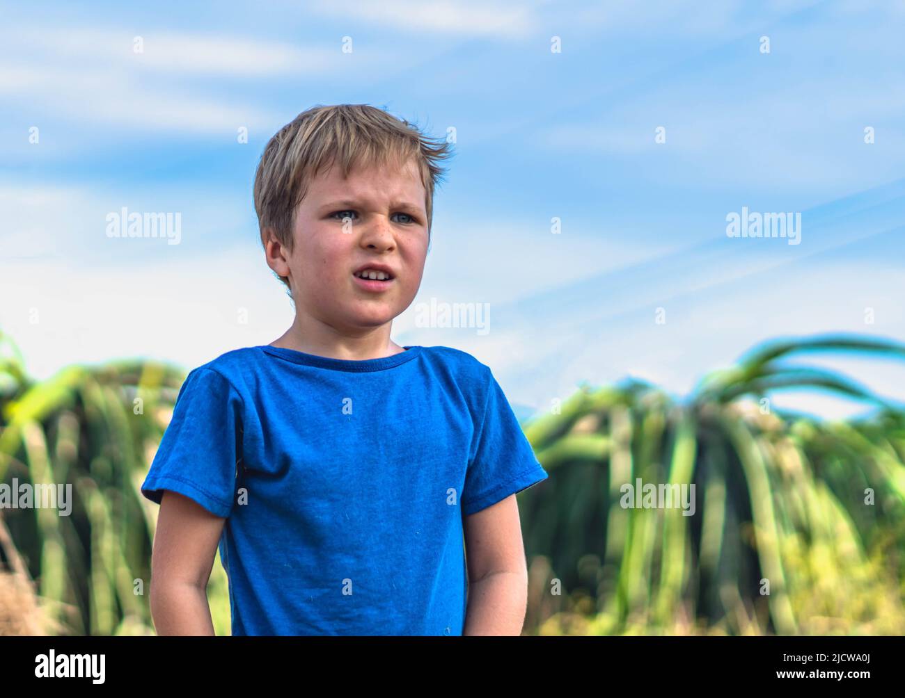 Blond boy looking far away distance blue sky background, furrowed eyebrows, indignation anger worry face expressions lifestyle. Summer day time nature Stock Photo
