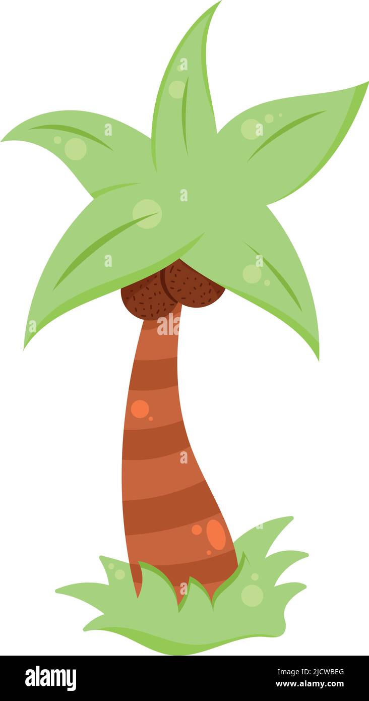 tropical tree palm with coconuts Stock Vector Image & Art - Alamy