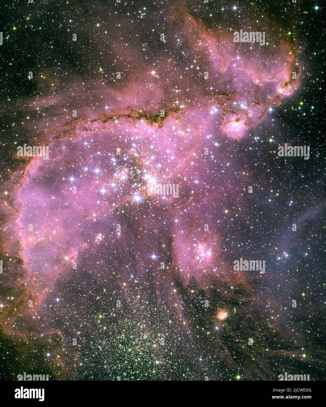 Cluster NGC 346 in constellation of Tucana Stock Photo - Alamy