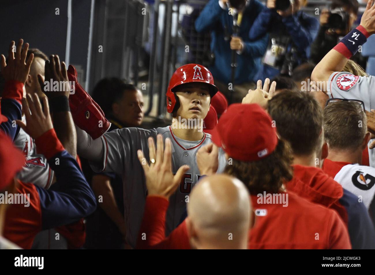 Los Angeles Angels Shohei Ohtani celebrates with teammates in the dugout after scoring from third on a single by Matt Duffy in the ninth inning at Dodger Stadium in Los Angeles on Wednesday, June 15, 2022.   Photo by Jim Ruymen/UPI Stock Photo