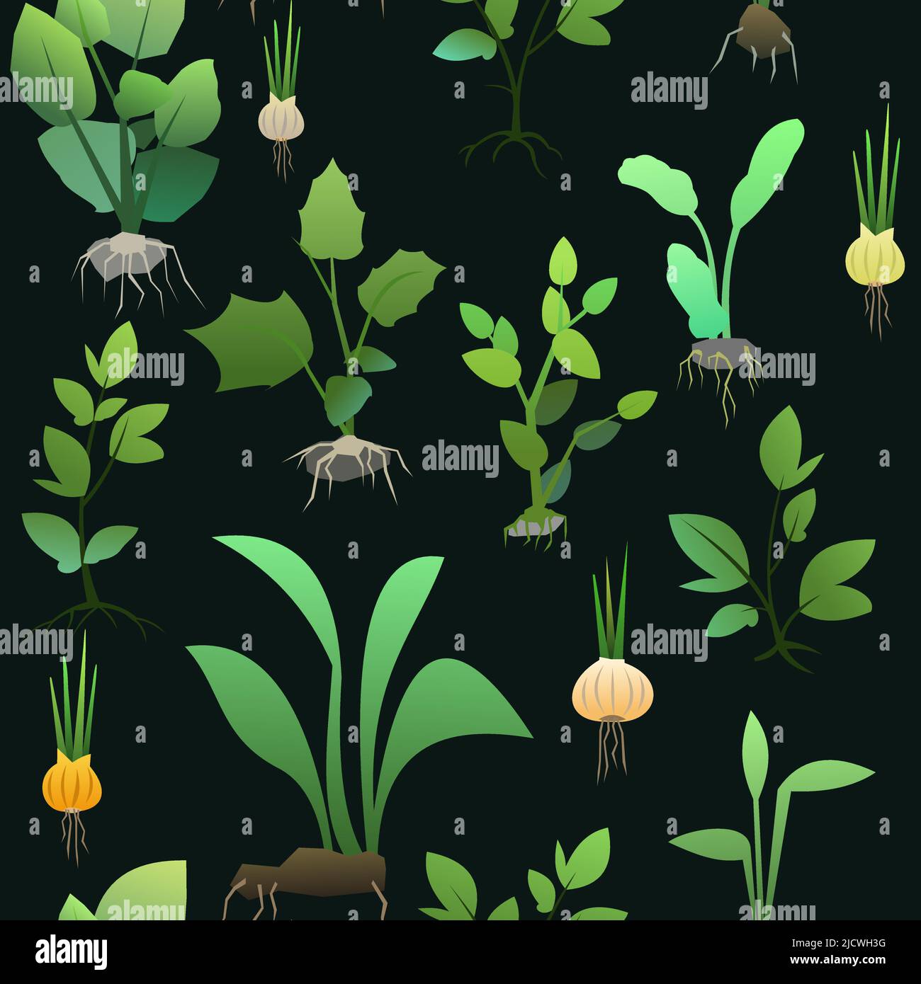 Seedling garden plants with roots. Sowing agricultural material ...