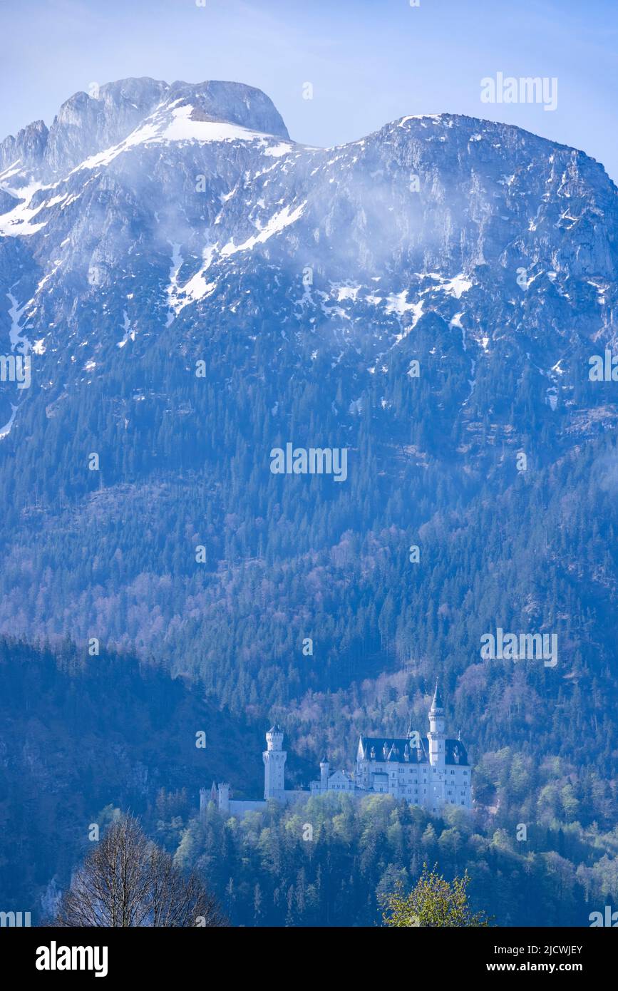 view of Neuschwanstein Castle, Bavaria, Germany Stock Photo Alamy