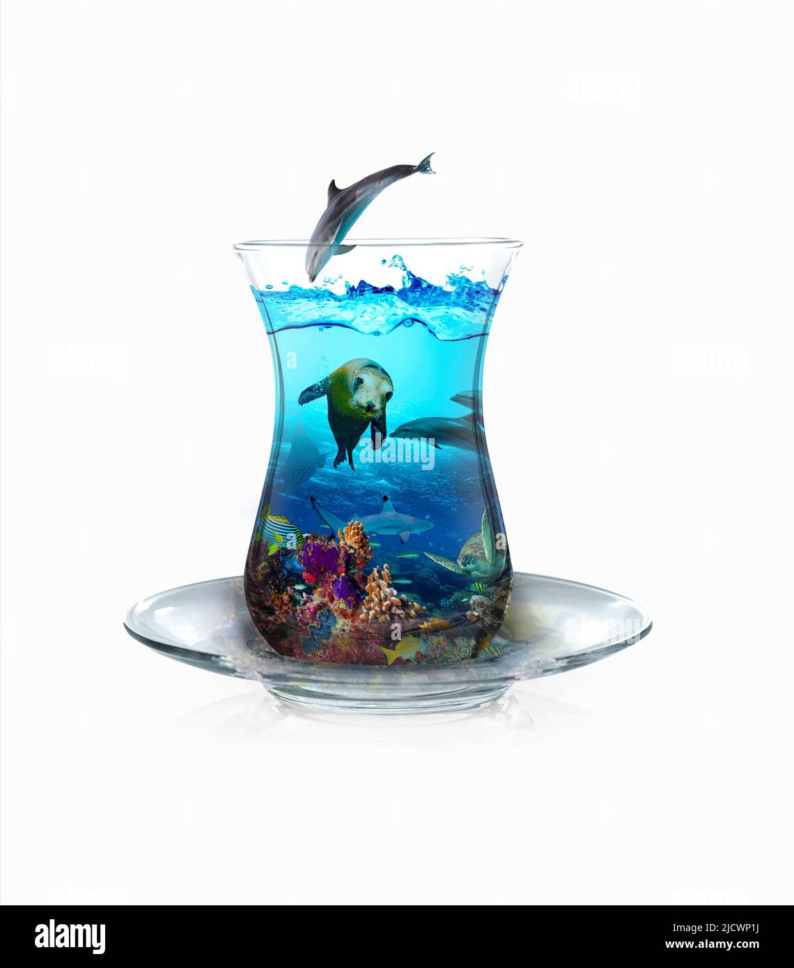 Submarine in tea cups. Dolphin fish, turtle, sea lion and tropical fish. Photo manipulation. 3D illustration. White background. Micro world. Stock Photo