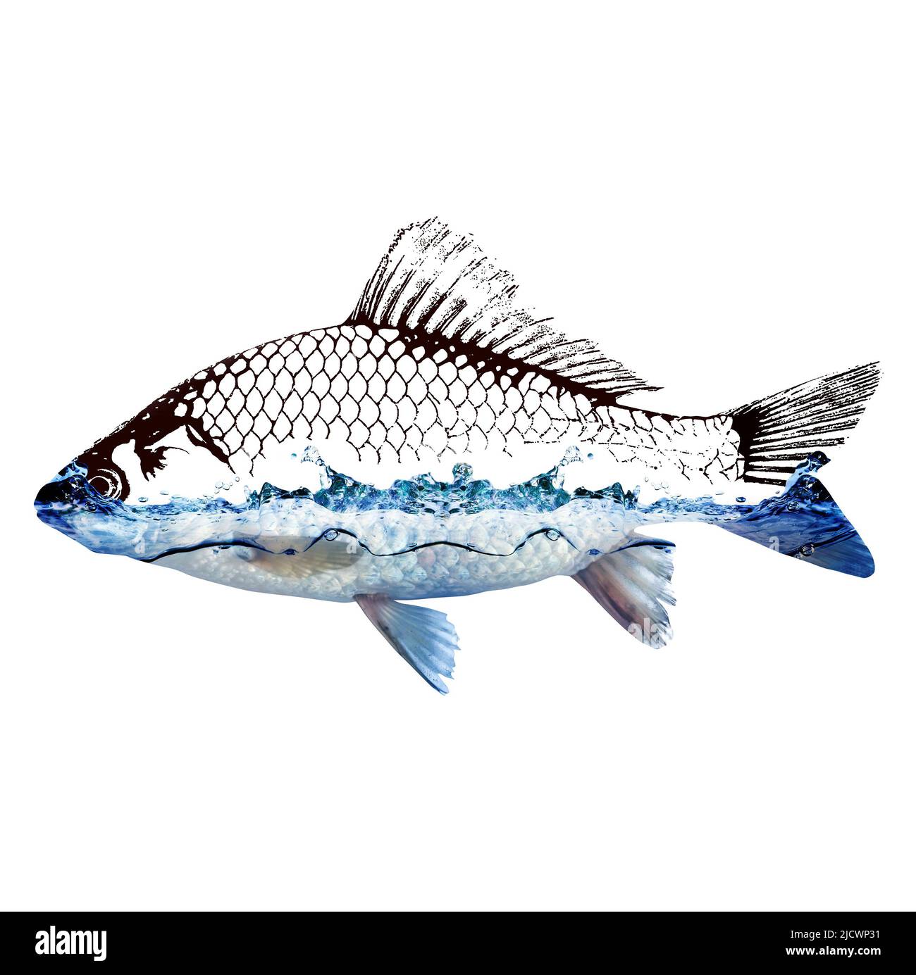 Fish and water manipulation. Harm to nature is given not only to humans but to all living things. With clipping path. Energy saving water. Stock Photo