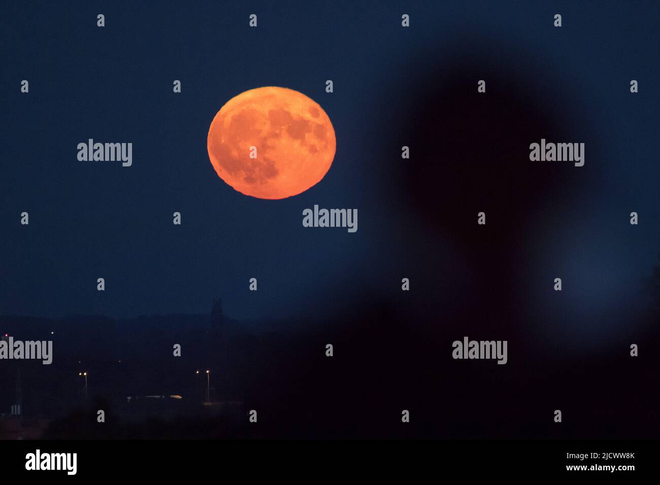 Strawberry moon in Poland. June 14th 2022 © Wojciech Strozyk / Alamy