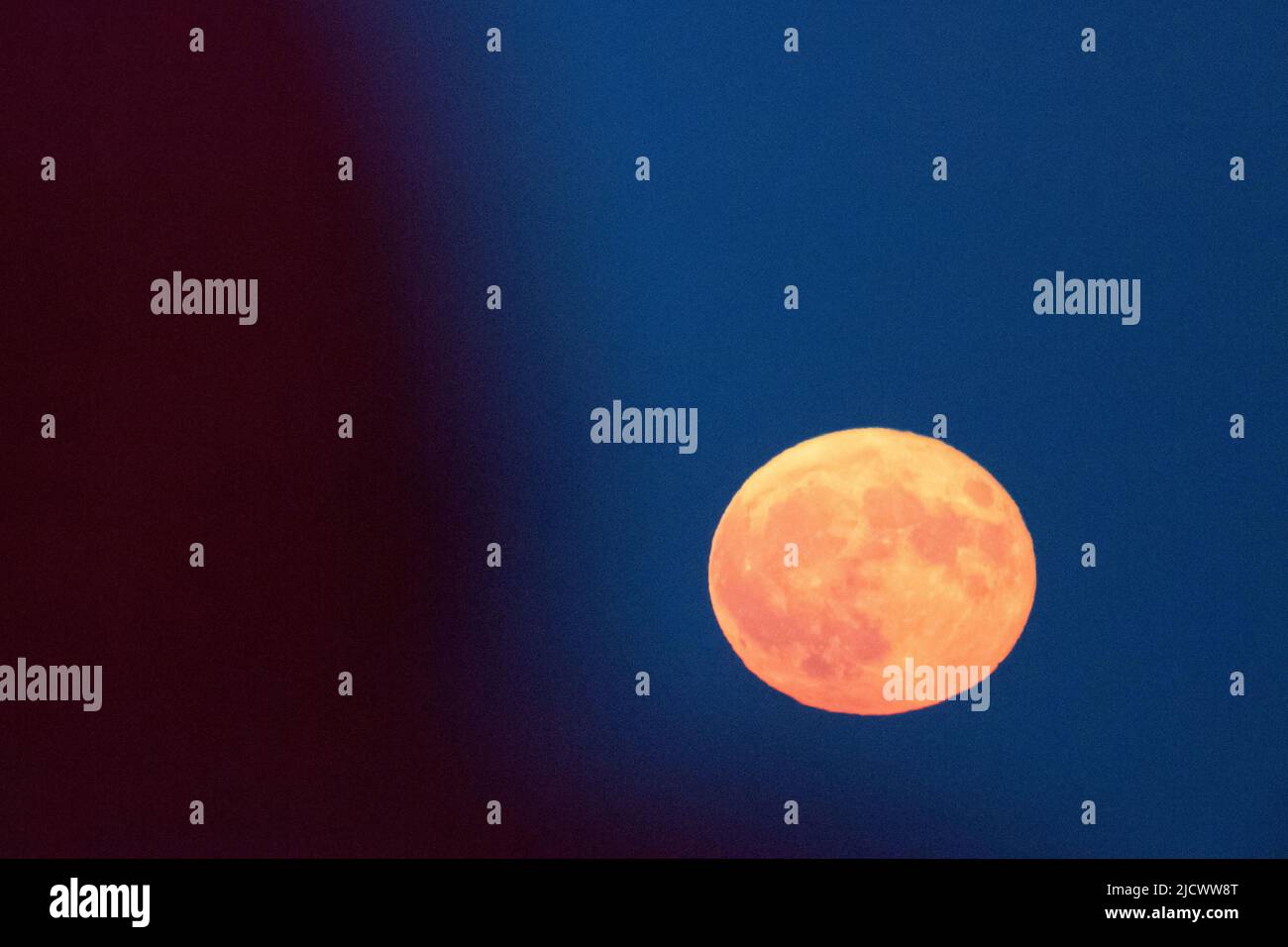 Strawberry moon in Poland. June 14th 2022 © Wojciech Strozyk / Alamy