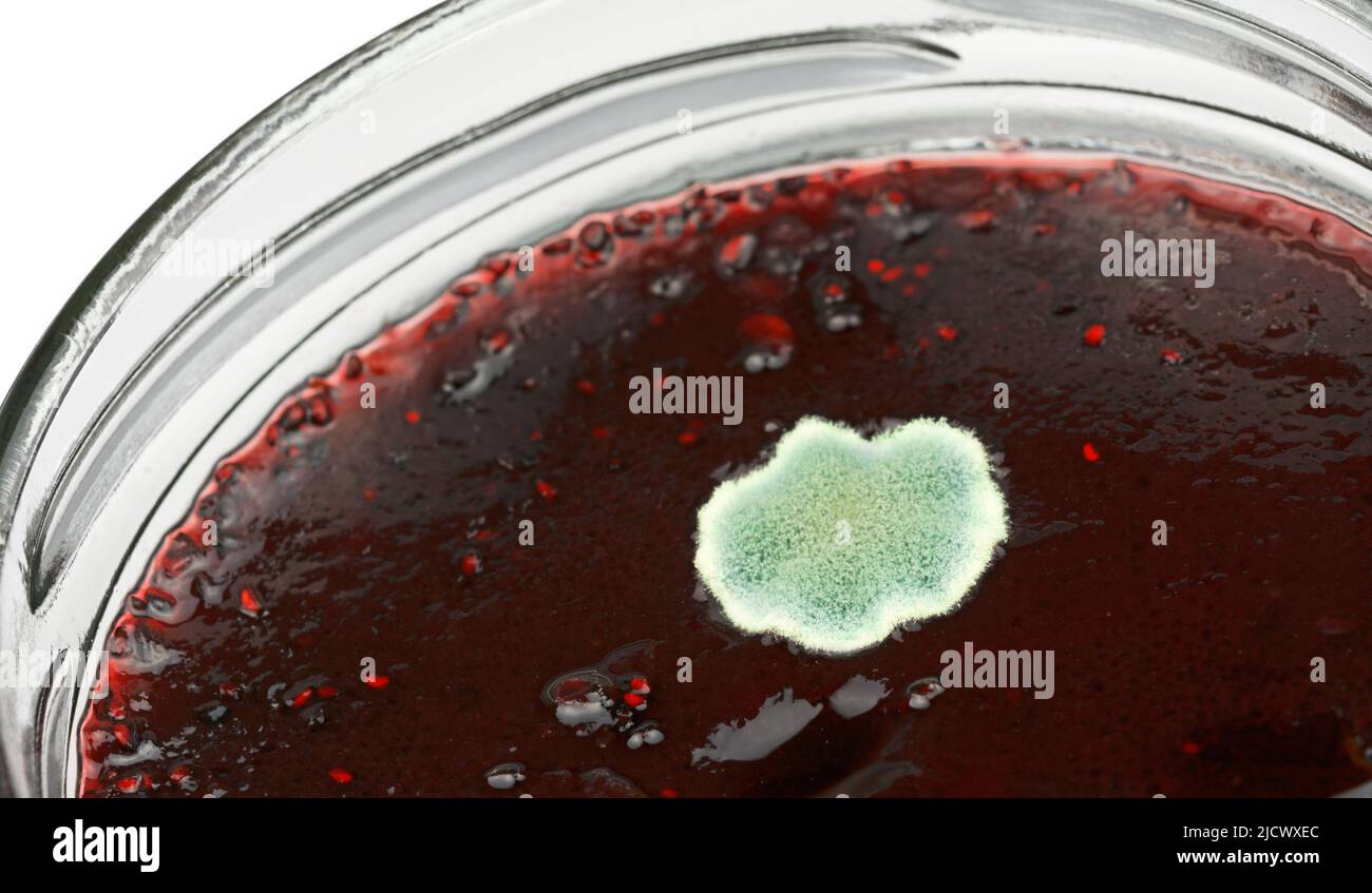 Go moldy dangerous hires stock photography and images Alamy