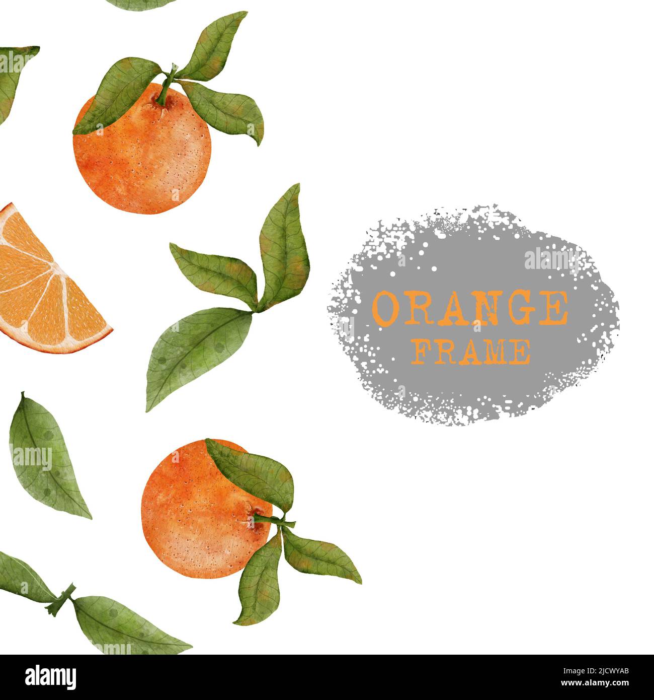 Watercolor orange fruit background. Orange with grapefruit leaves and