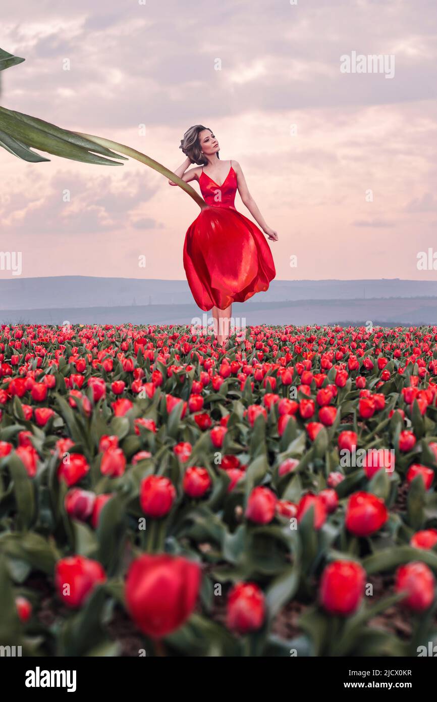 Woman in tulips field hi-res stock photography and images - Alamy