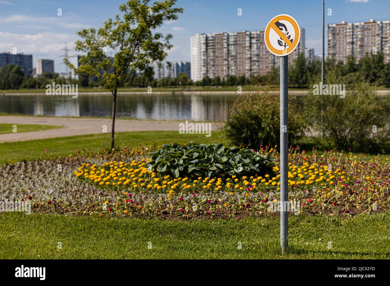 a sign forbidding picking flowers stands near the flower bed. High quality photo Stock Photo