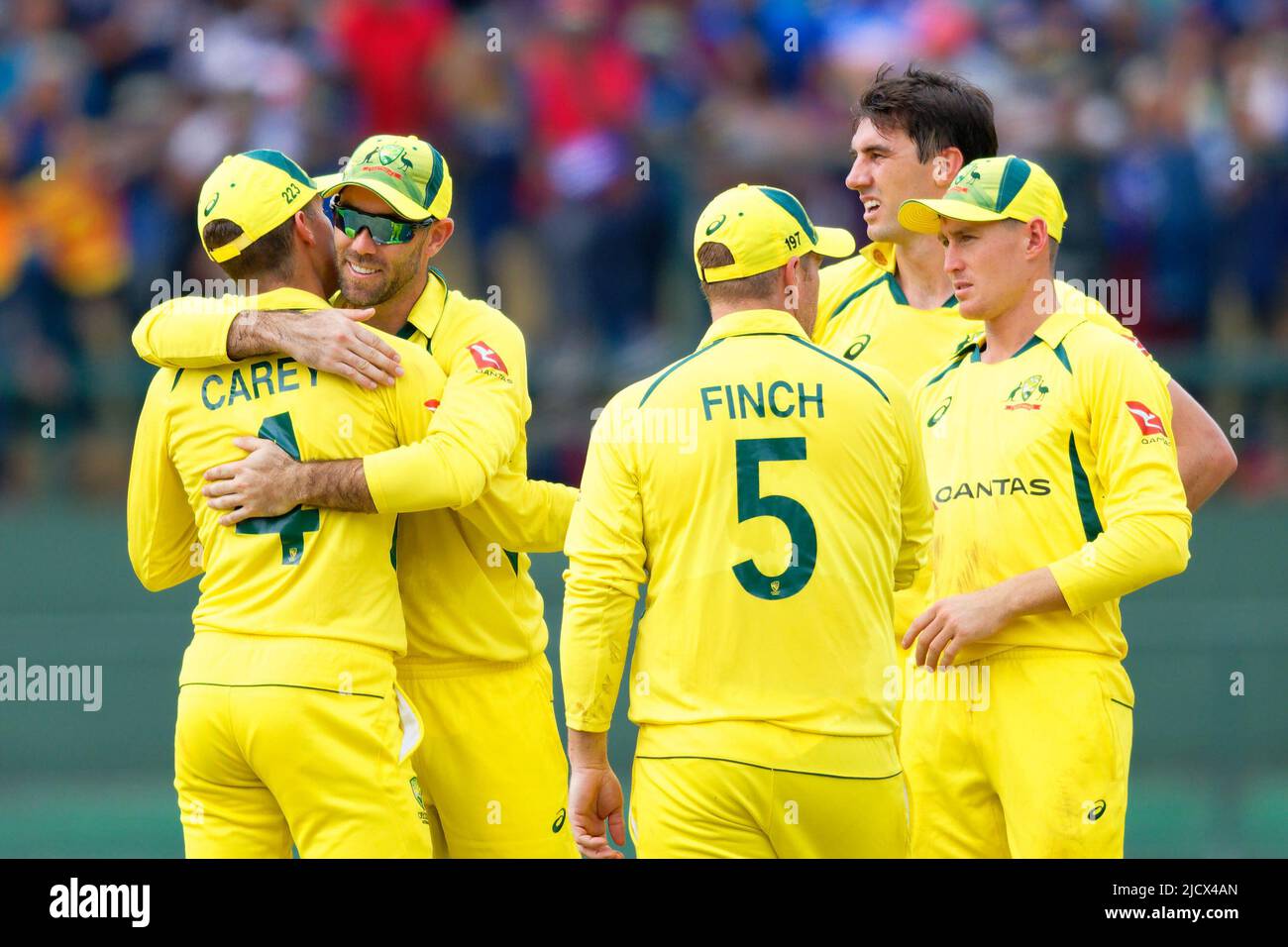 Kandy, Sri Lanka. 16th June 2022. Australia team celebrates dismissing Dhananjaya de Silva of