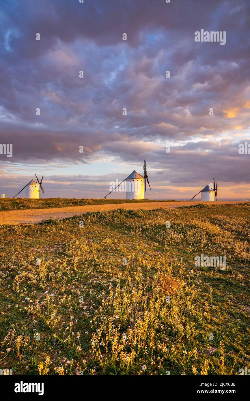 Windmills, Campo de Criptana, Ciudad Real, Castile-La Mancha, Spain, Europe Stock Photo