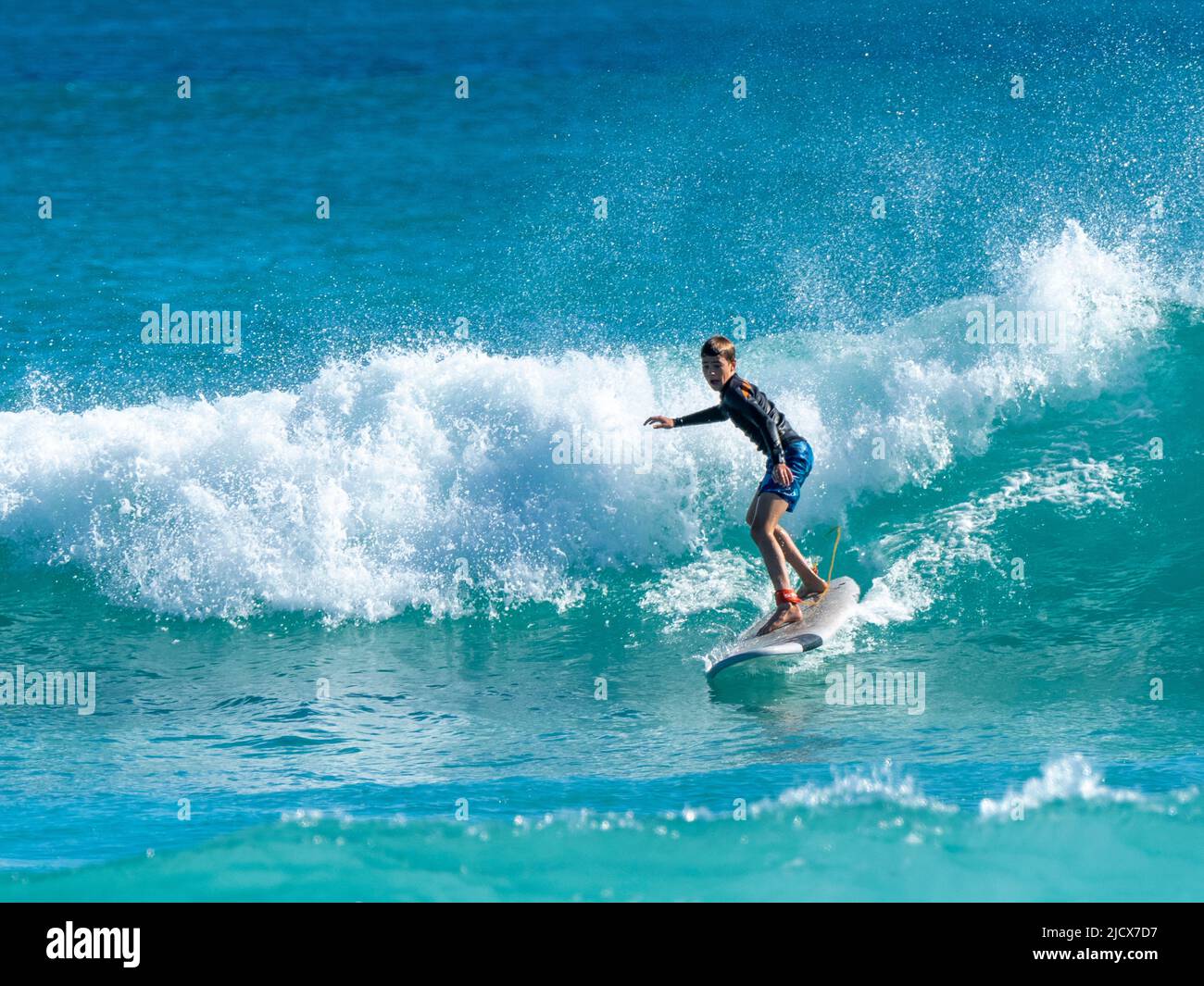 Surfer riding a wave at Ningaloo Reef, Western Australia, Australia, Pacific Stock Photo