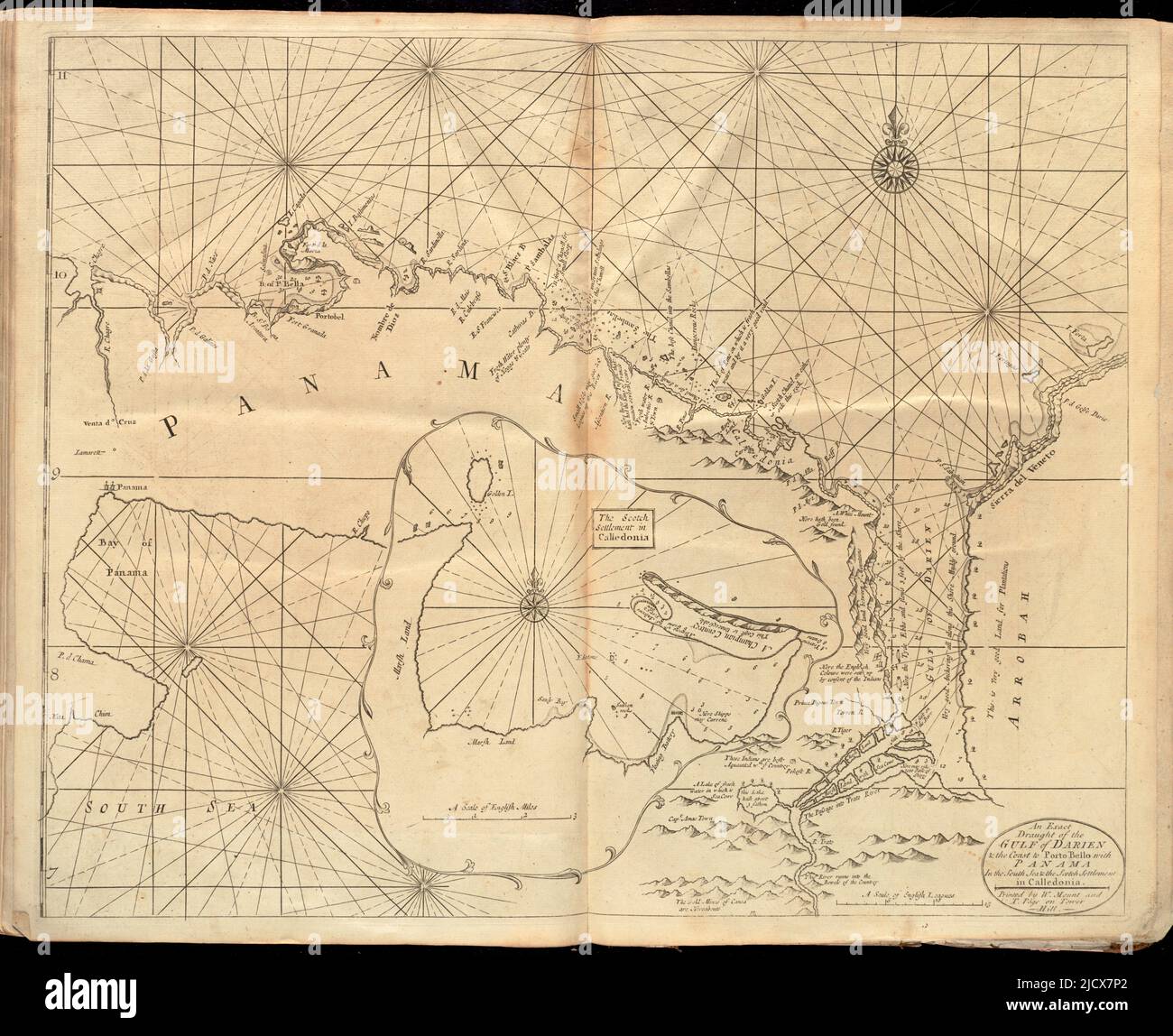 Vintage botany chart hires stock photography and images Alamy