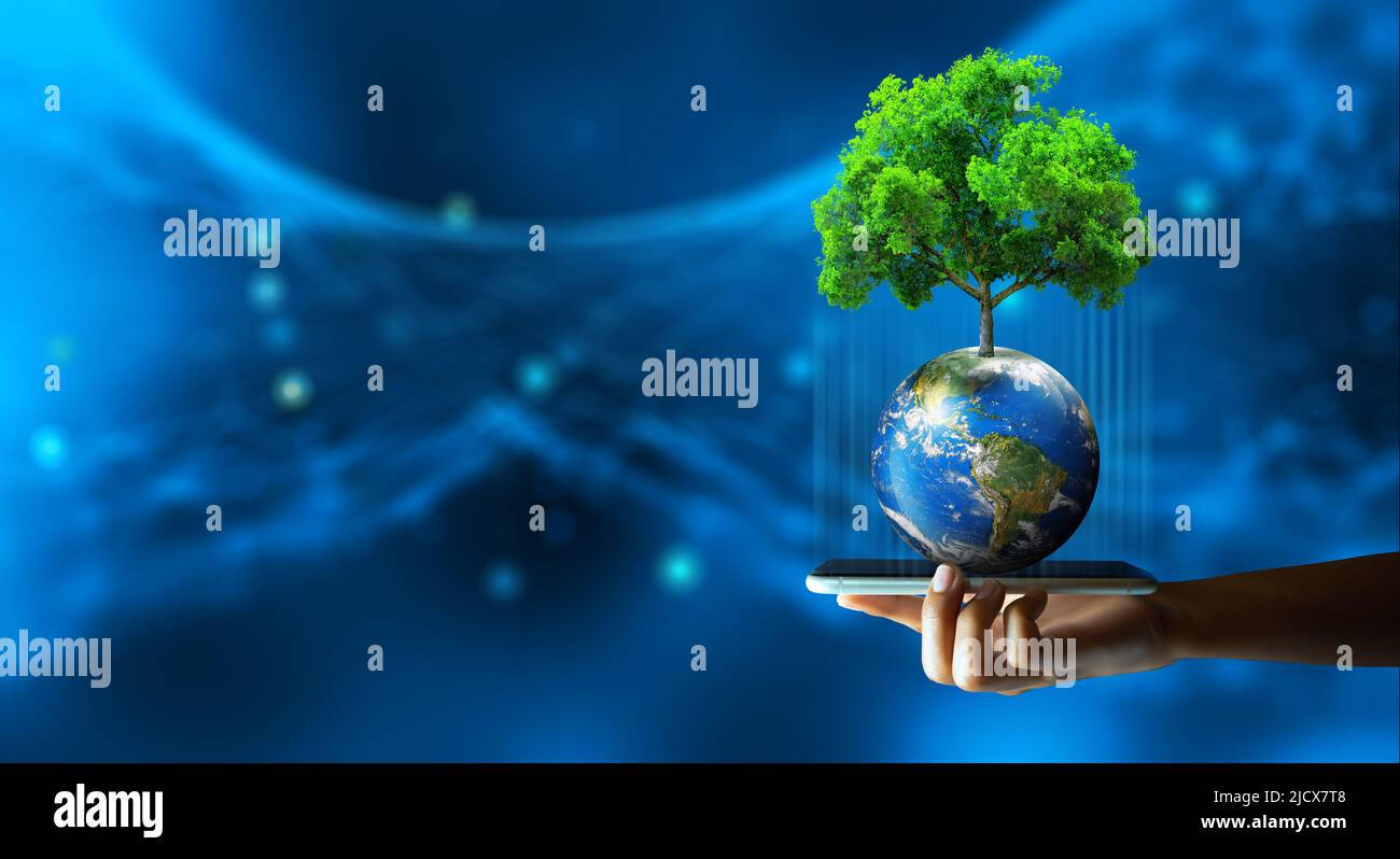 Man hand holding smartphone with Technology Economic. Tree growing on Earth and wireframe background. Green computing, Green IT, csr, and IT ethics. Stock Photo