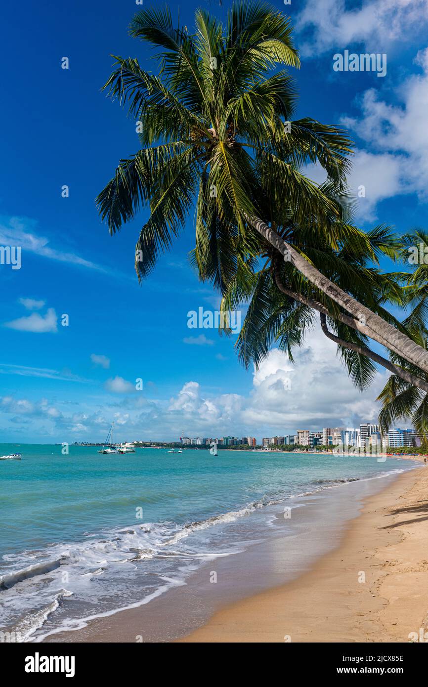 Palm fringed beach, Maceio, Alagoas, Brazil, South America Stock Photo