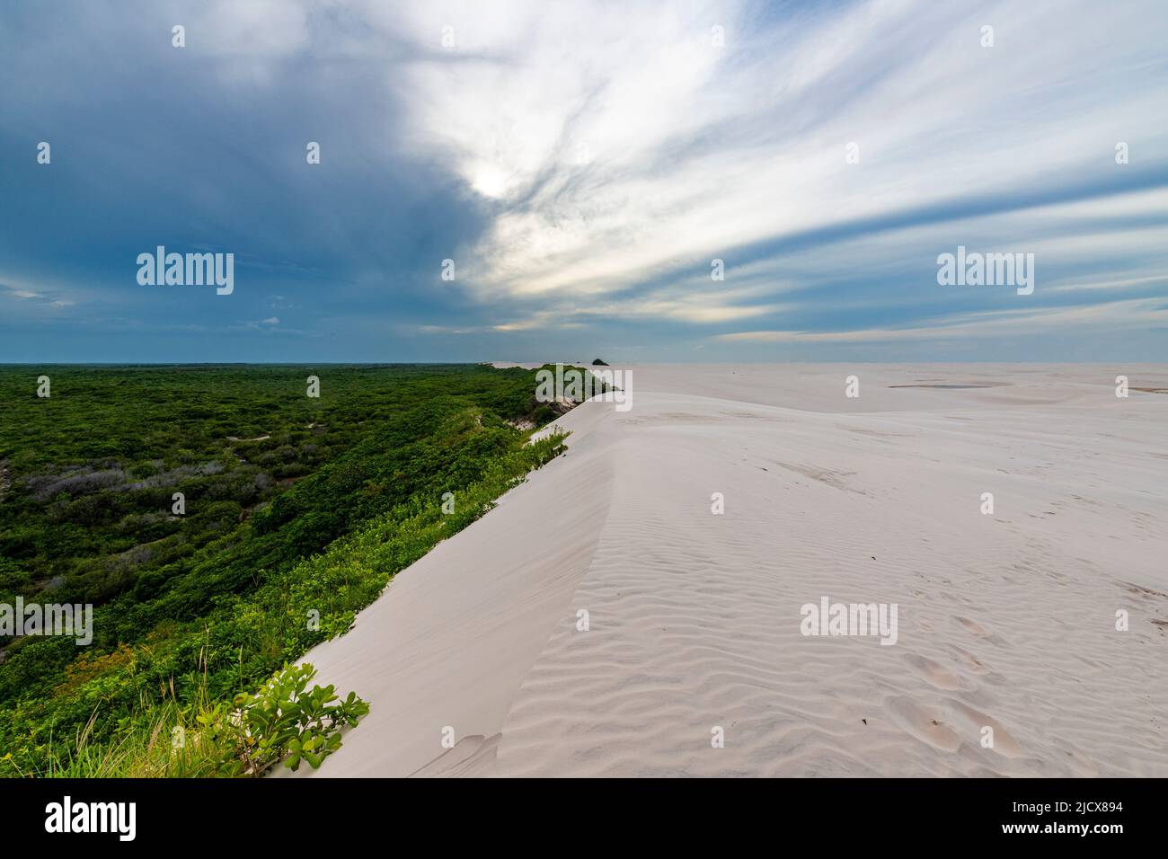 Sand dunes rising out of the green jungle, Lencois Maranhenses National Park, Maranhao, Brazil, South America Stock Photo