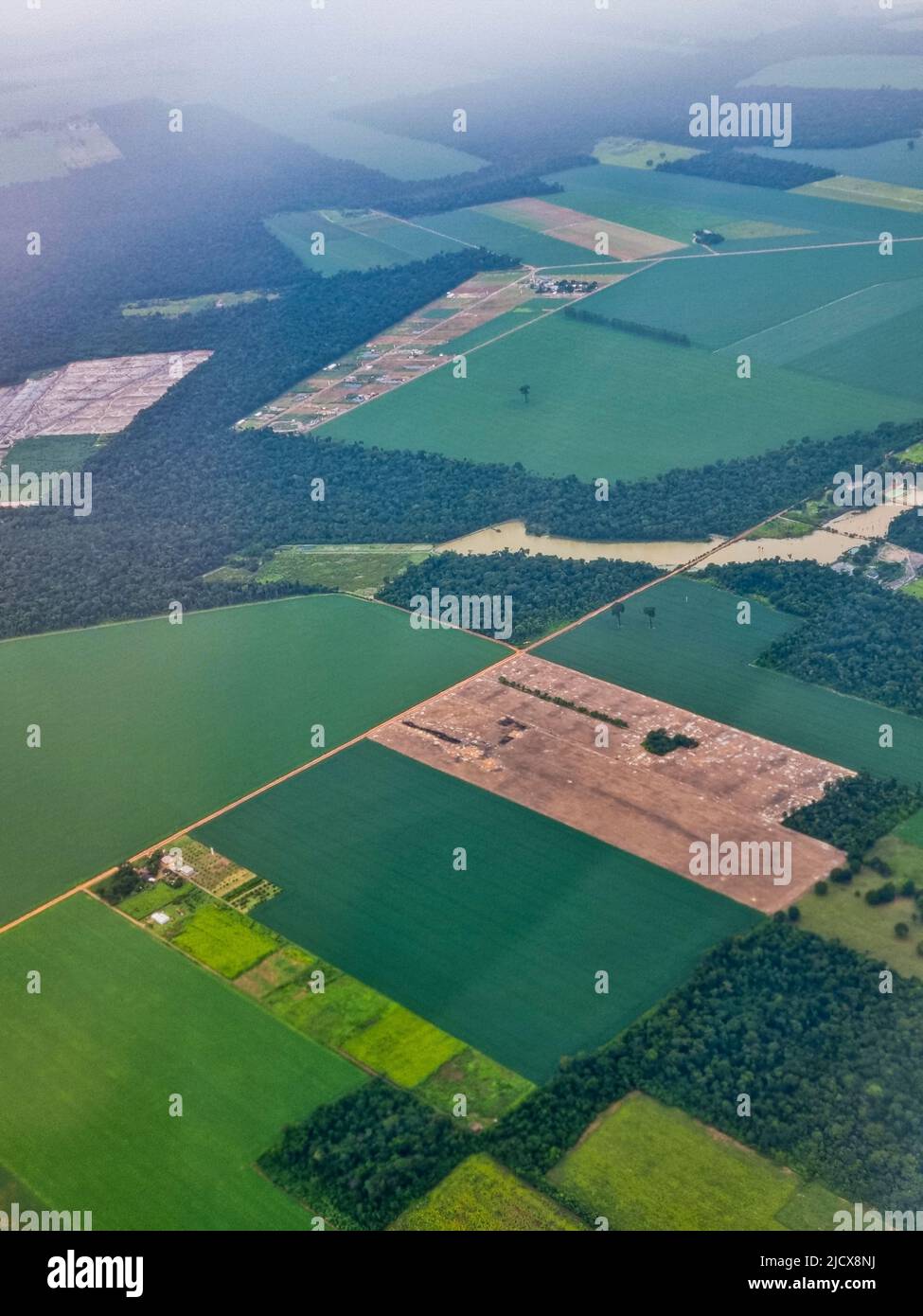 Aerial of the giant soy fields around Sinop, Mato Grosso, Brazil, South America Stock Photo