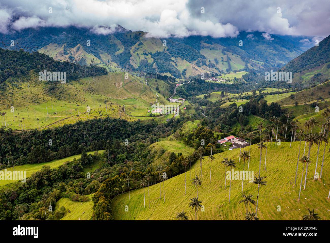 Aerial of the Cocora Valley, UNESCO World Heritage Site, Coffee Cultural Landscape, Salento, Colombia, South America Stock Photo
