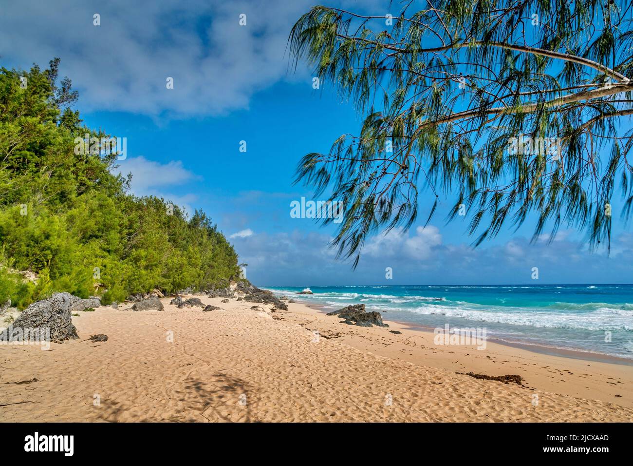3,700+ Bermuda Beaches Stock Photos, Pictures & Royalty-Free Images -  iStock