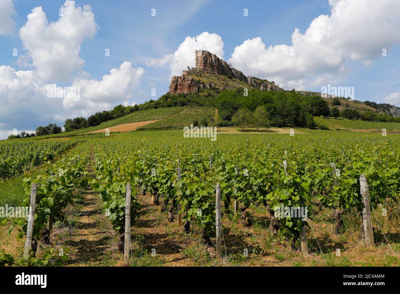 Solutre Rock and vineyards in Saone et Loire, Burgundy, France, Europe Stock Photo