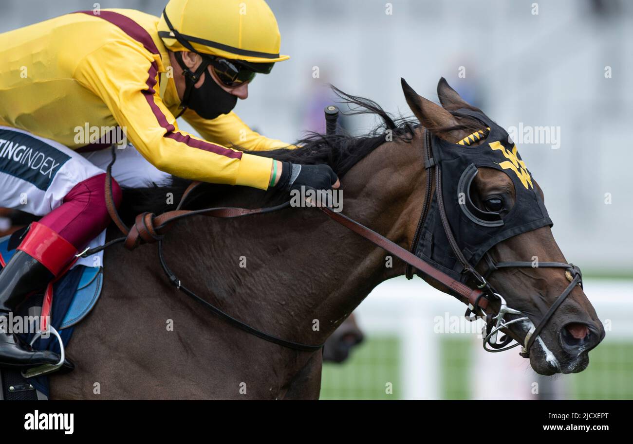 Platinum jubilee stakes 2022 ascot hires stock photography and images