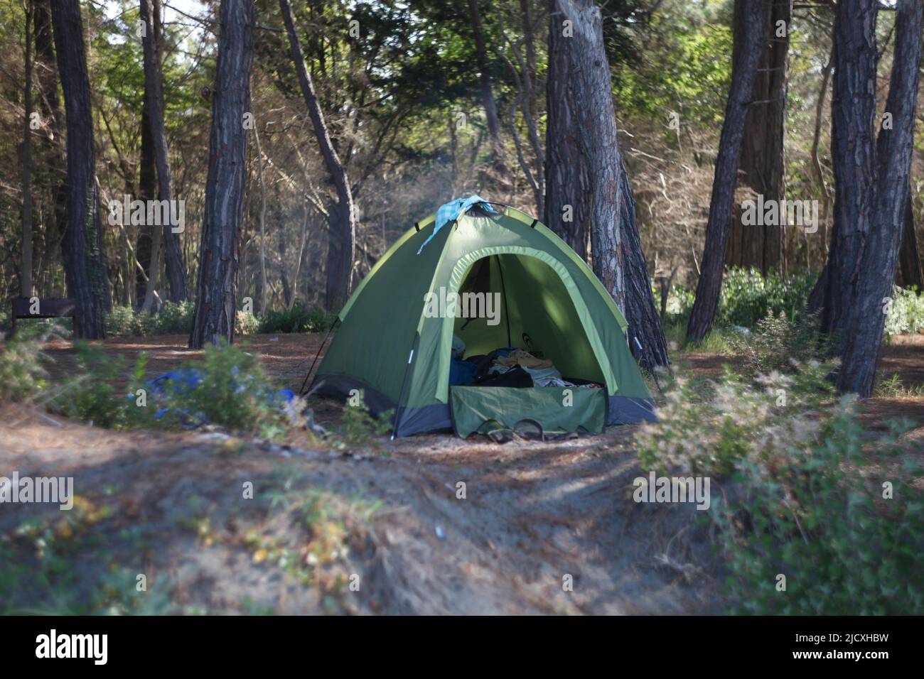 Tent in the forest on the Black Sea Stock Photo - Alamy