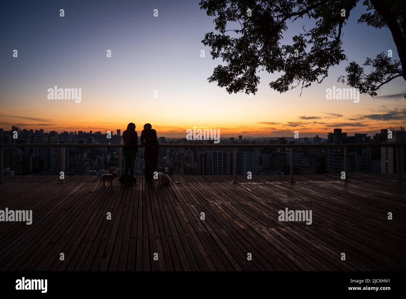 A couple and their dogs at the watching the sunset at Parque Amilcar Vianna Martins in Belo Horizonte, Brazil Stock Photo