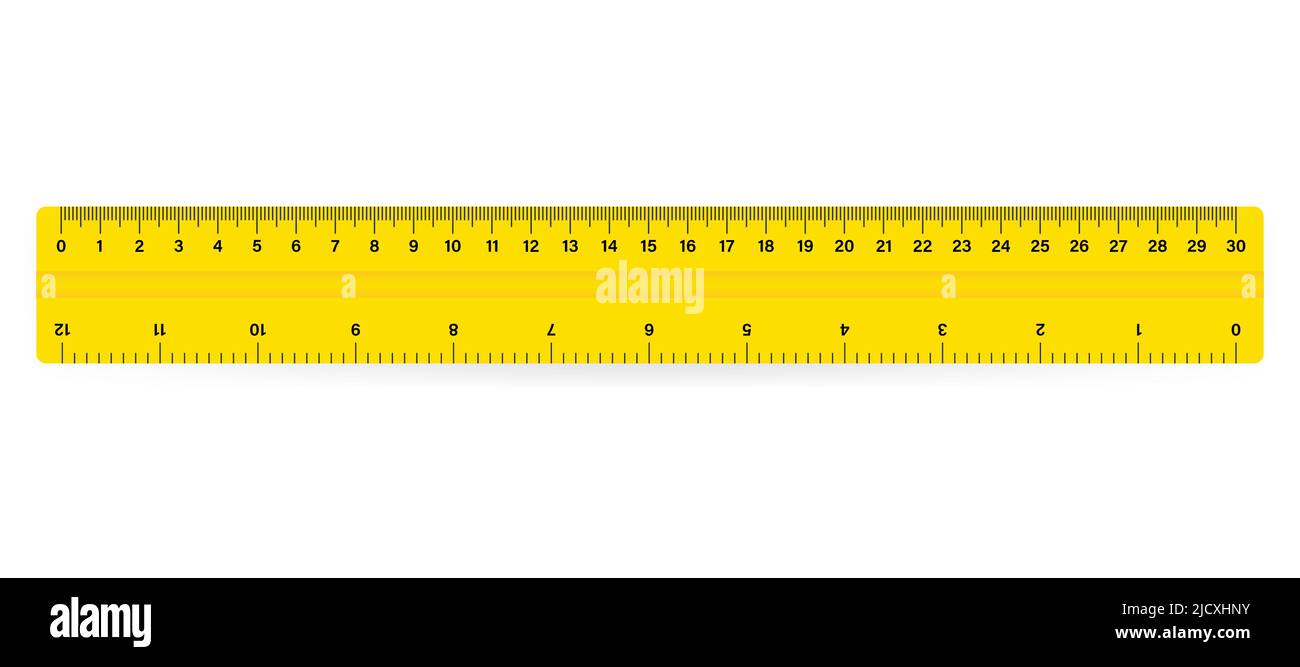 30cm Measure Tape ruler school metric measurement. Metric ruler. Stock Vector