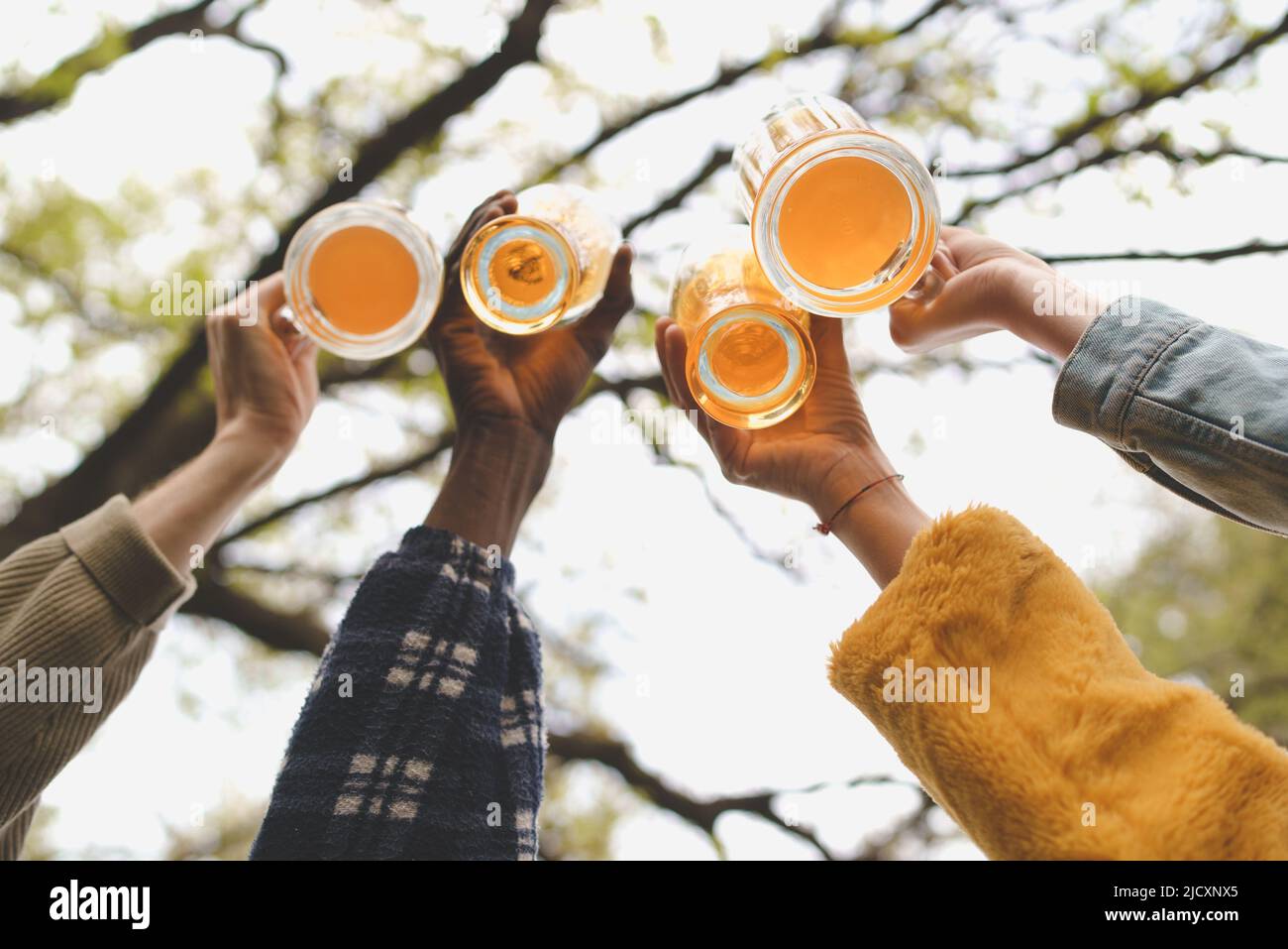 Diverse group of young friends clinking mug of beers and having a celebratory toast together Stock Photo