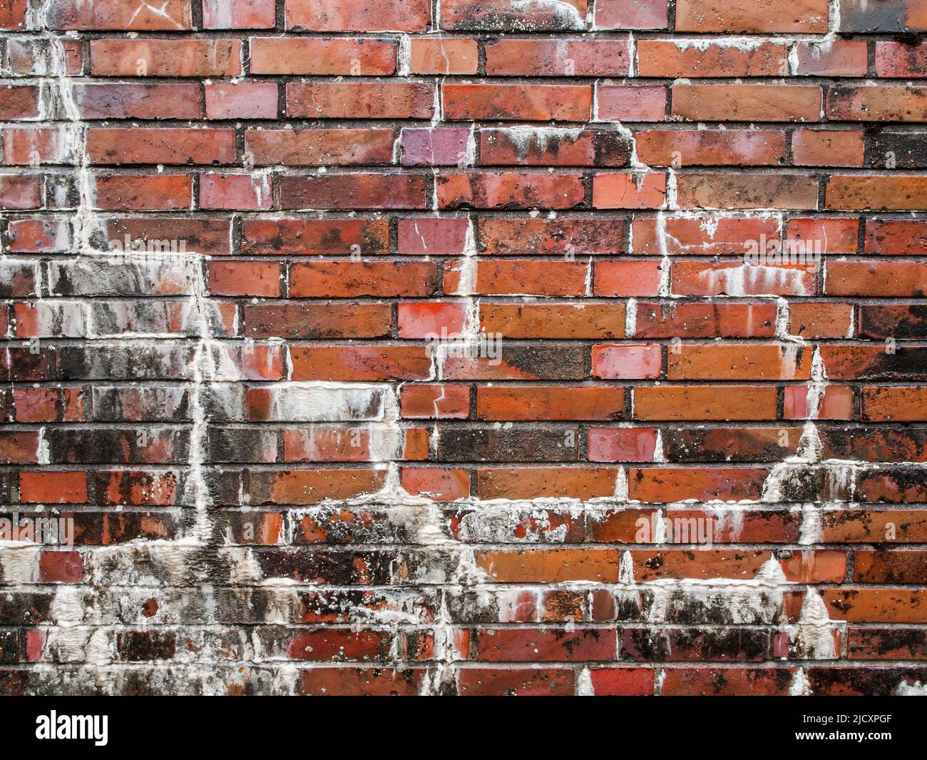 Full-frame view of a rain-soaked brick wall with efflorescence. Stock Photo