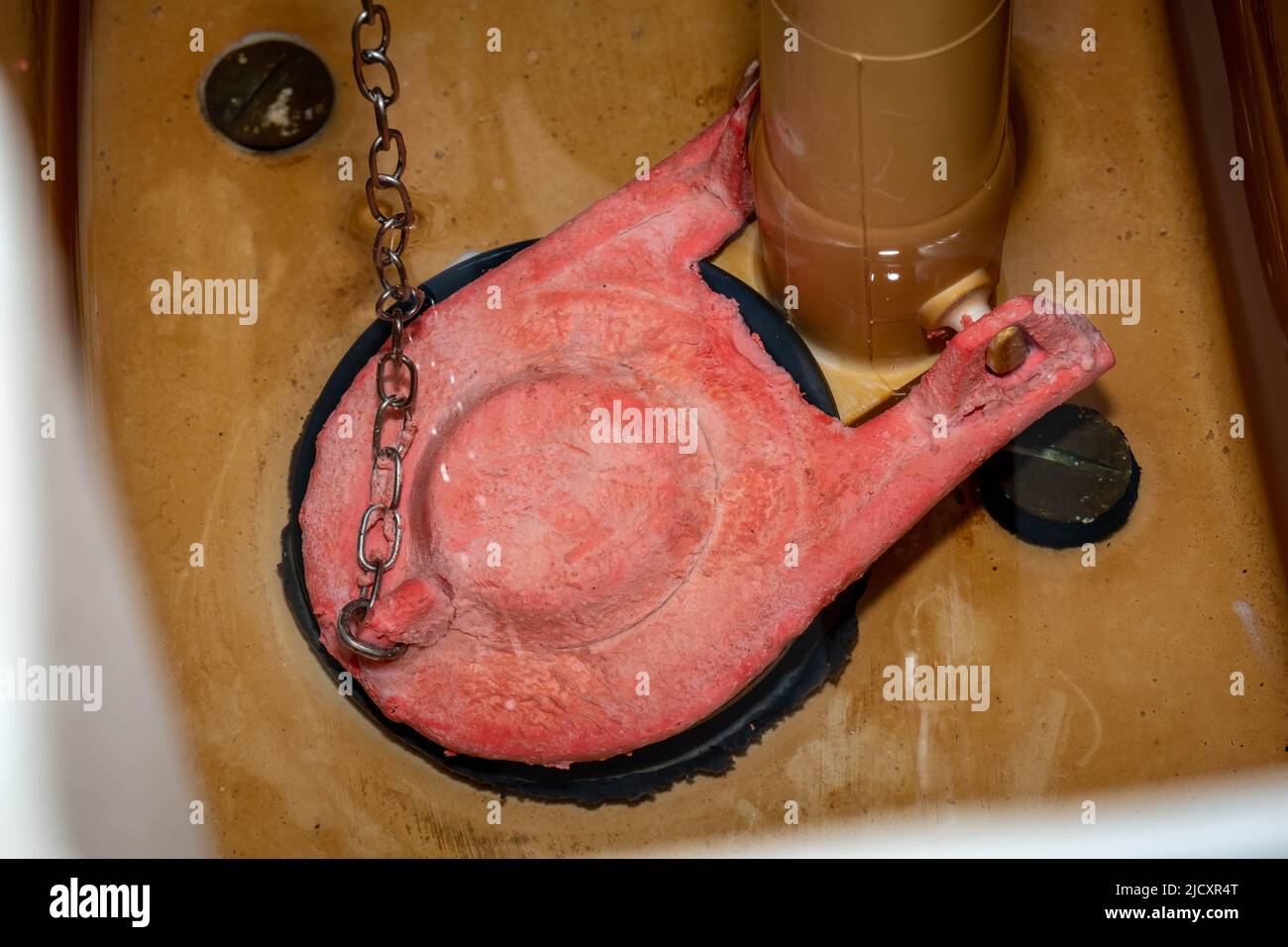 A rubber flapper valve in the toilet tank illustrating severe chlorine damage. Stock Photo