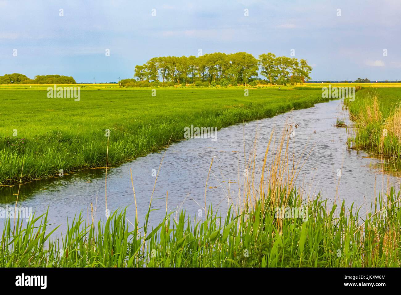 Lower German North German agricultural nature and moor river lake landscape panorama ...