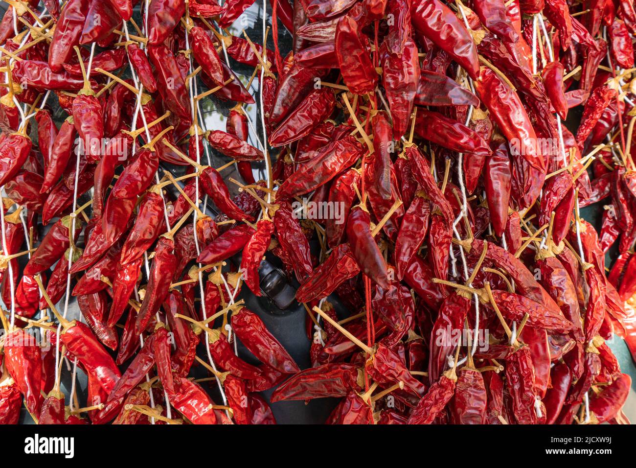 Several chili peppers hung with string to dry Stock Photo