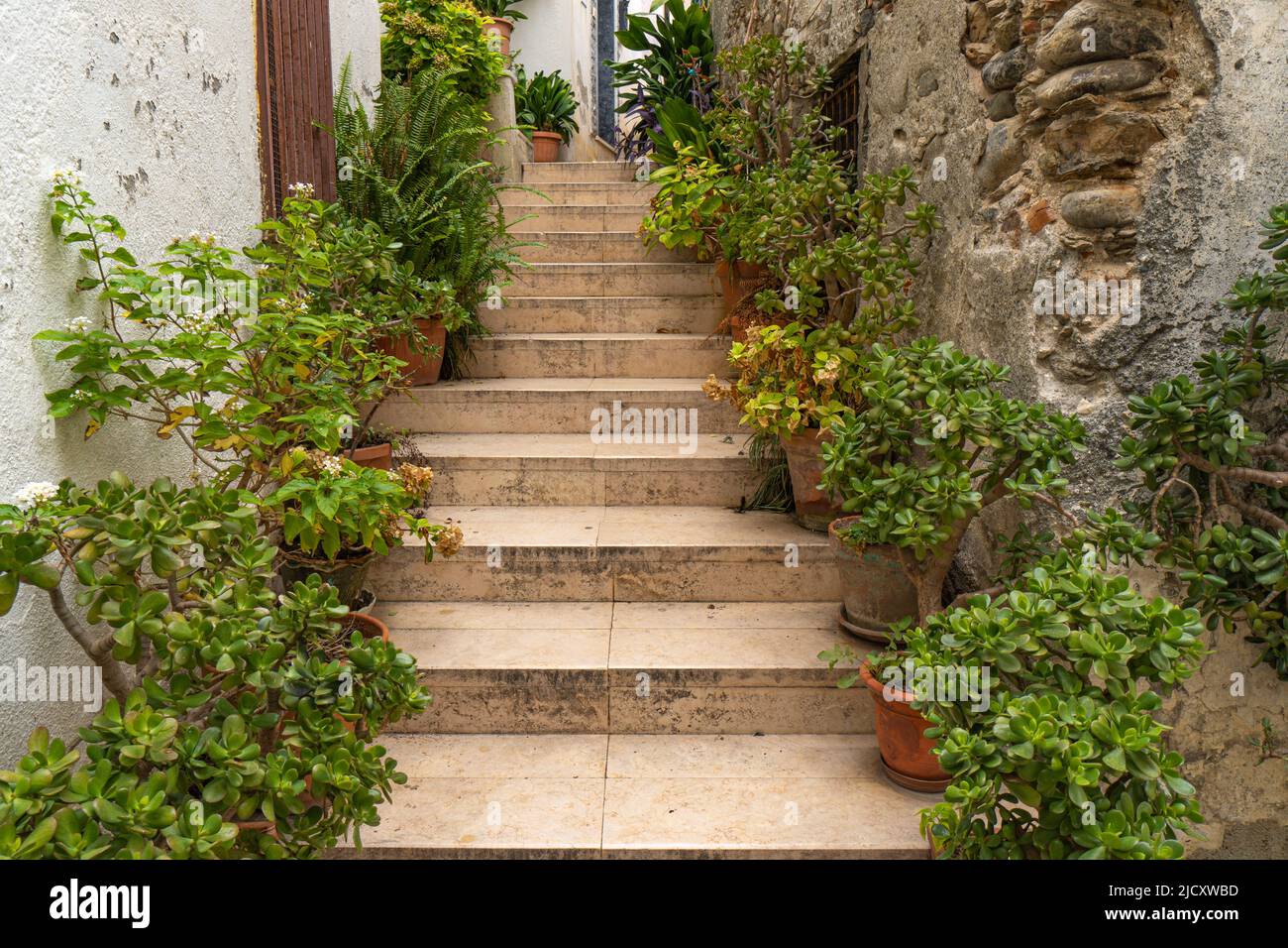 A staircase between two houses with many flower pots Stock Photo