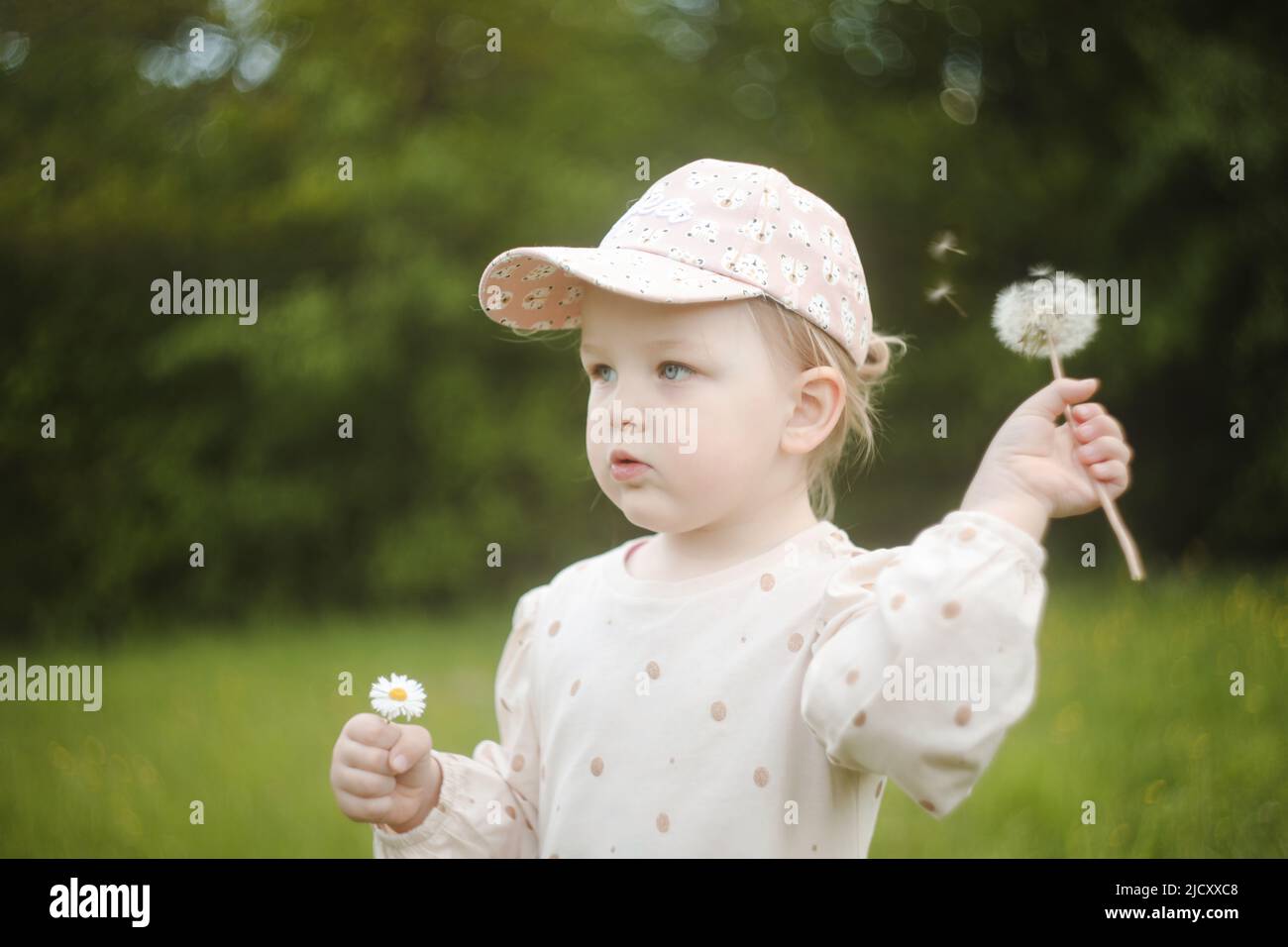 Beautiful child with dandelion flowers in park in summer. Happy kid having fun outdoors. Stock Photo