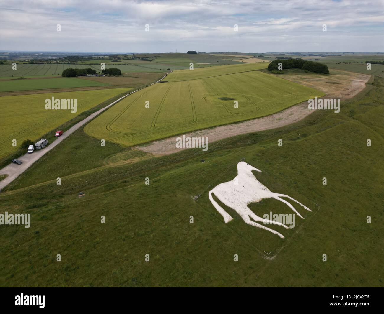 Devizes White Horse Chalk Hill figure. Wessex Ridgeway Longdistance