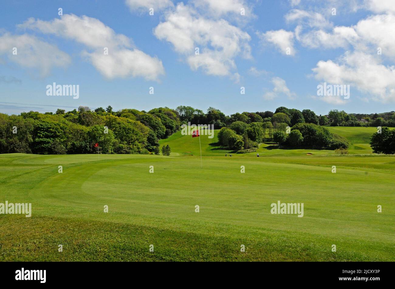 View over Green on Hartington Course to the Devosnhire Course, Royal Eastbourne Golf Club, Eastbourne, Sussex, England Stock Photo