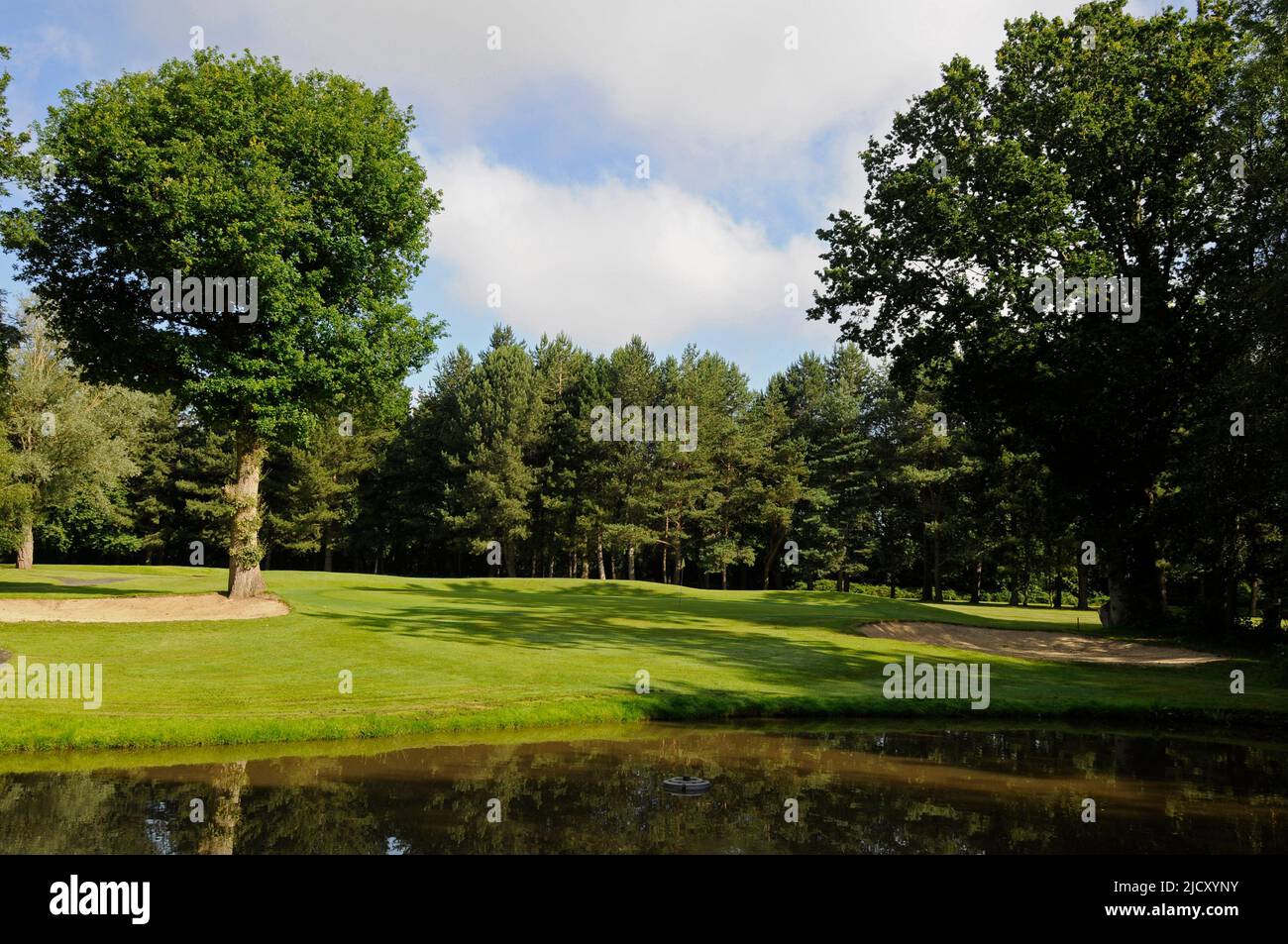 View over Pond to 16th Green, Bentley Golf Club, Brentwood, Essex, England Stock Photo