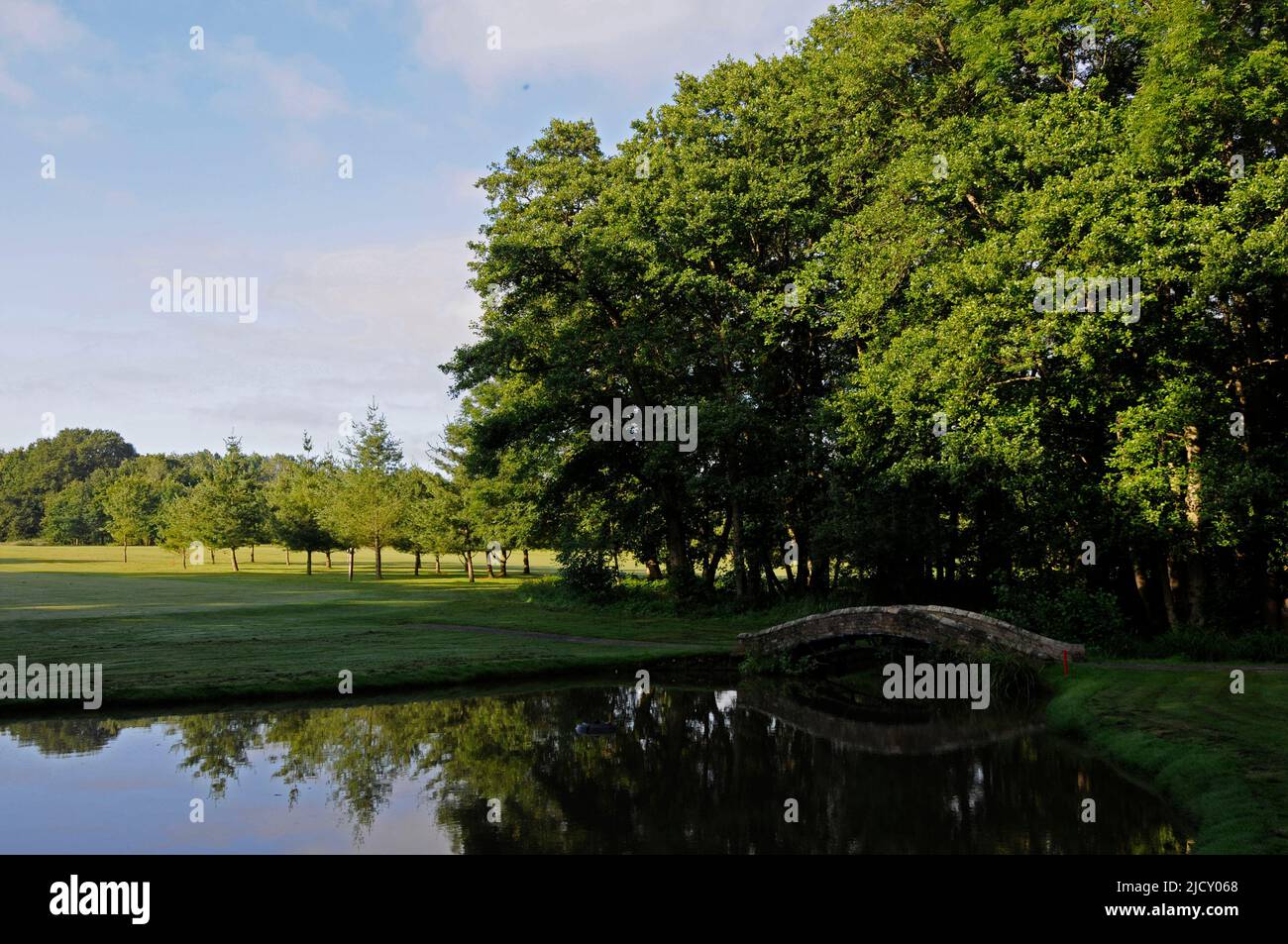 Early morning view from 16th Green back over the Pond to Fairway, Bentley Golf Club, Brentwood, Essex, England Stock Photo