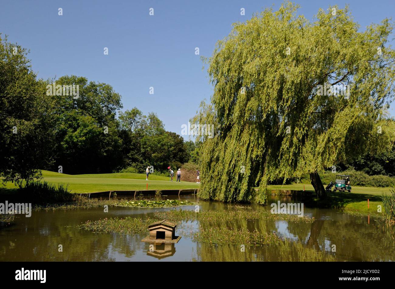 View over Pond to 14th Green with Golfers, Bentley Golf Club, Brentwood, Essex, England Stock Photo