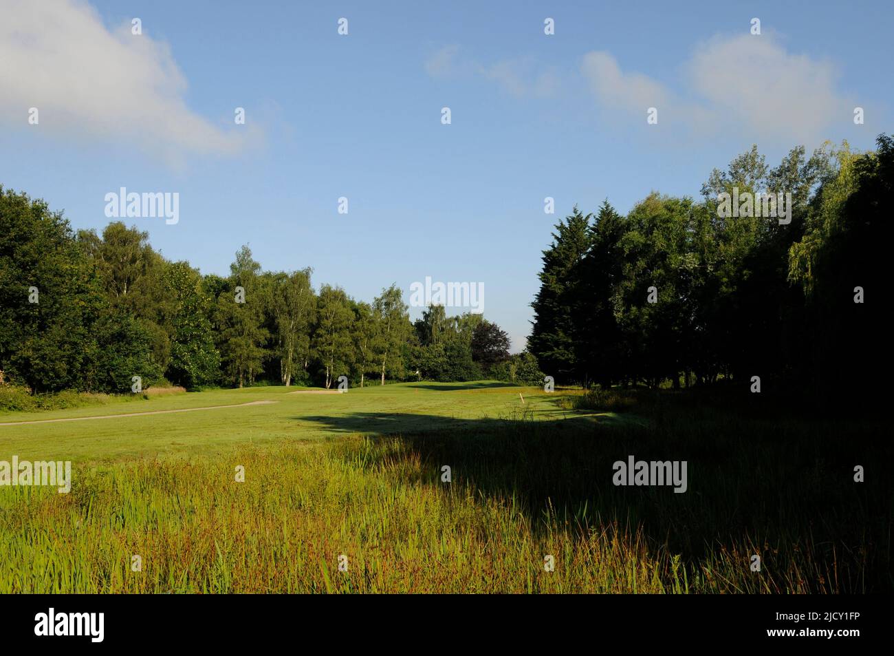 View from the Tee over pond area to 8th Green, Bentley Golf Club, Brentwood, Essex, England Stock Photo
