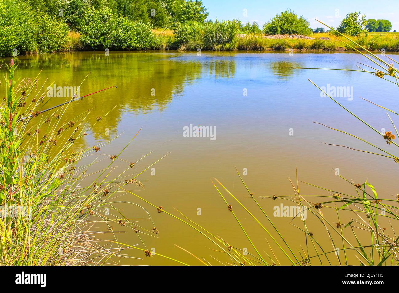 Natural beautiful panorama view with bog moor swamp pond river lake and
