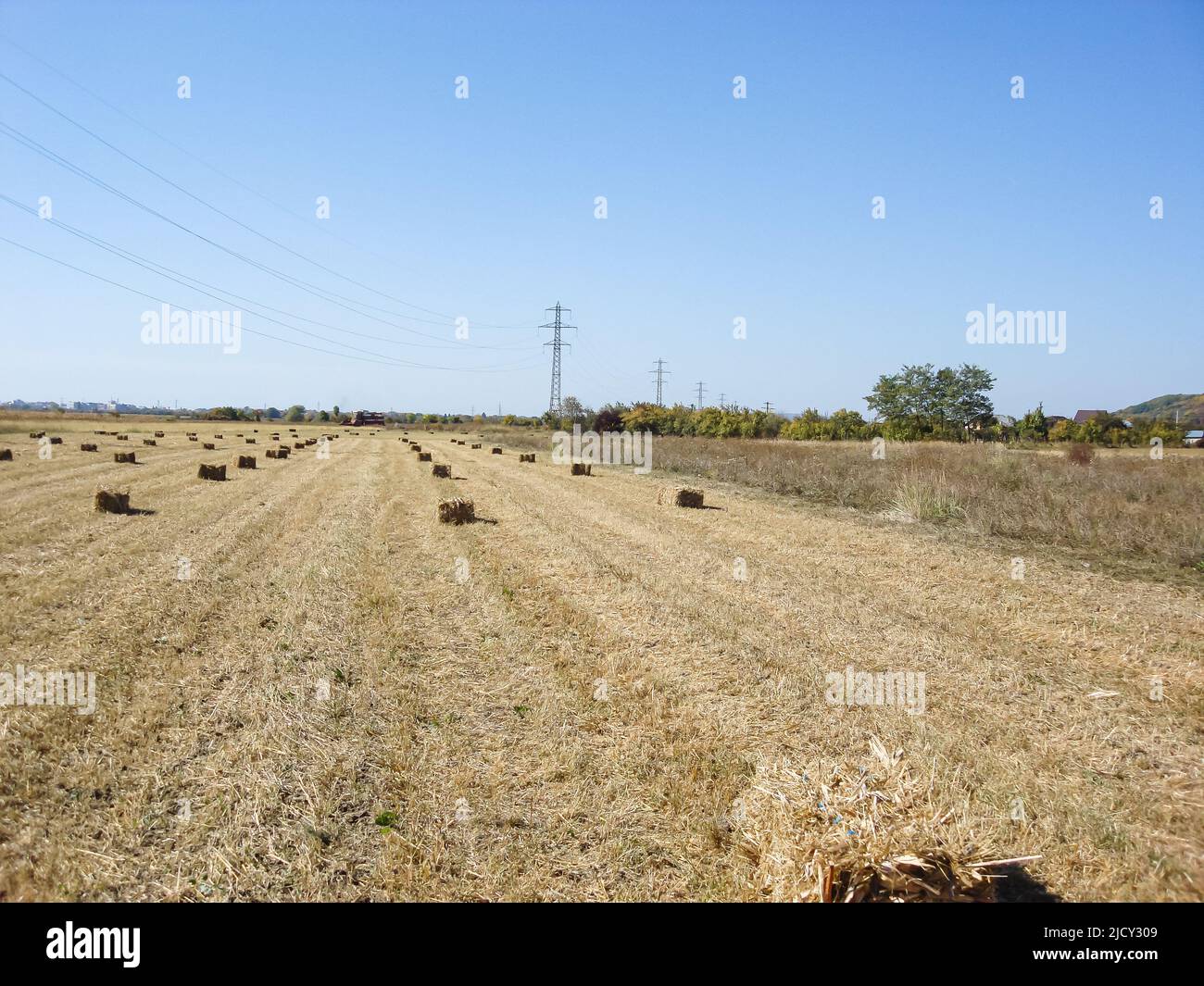Agricultural field with straw bales after harvest Stock Photo - Alamy