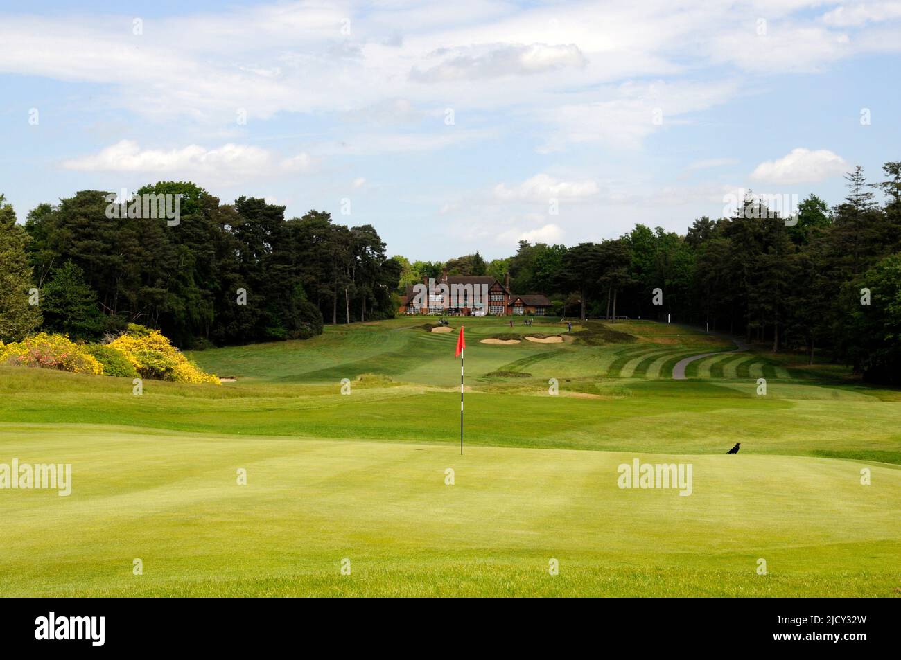 View over 1st Green to 18th Fairway and Green with Clubhouse in background, Swinley Forest Golf Club, Ascot, Berkshire, England Stock Photo