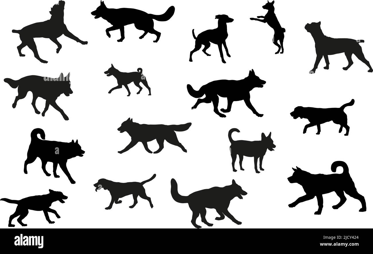 Group of dogs various breed. Black dog silhouette. Running, standing, walking, jumping dogs. Isolated on a white background. Pet animals. Vector . Stock Vector