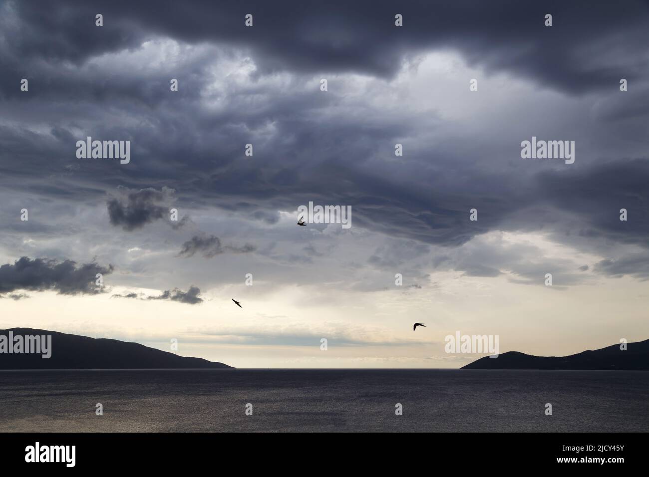 Dark dramatic sky with stormy clouds and swallows over sea Stock Photo ...